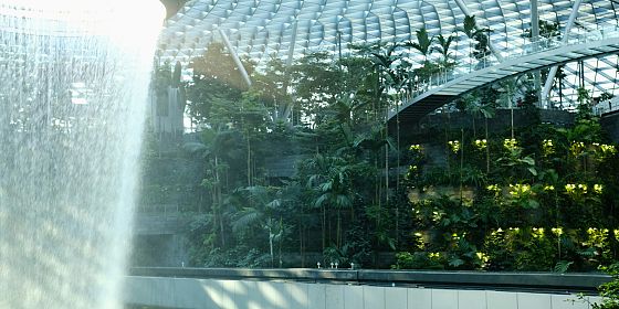 Innovazione e resilienza urbana: il tetto idroponico modulare