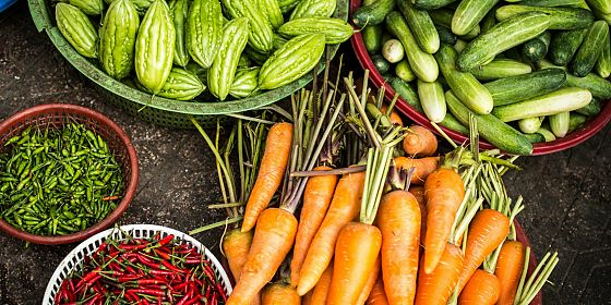 Nutri game: Cus e Unict per una sana alimentazione