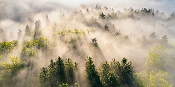 Landscape stewardship beyond the nature-culture dichotomy