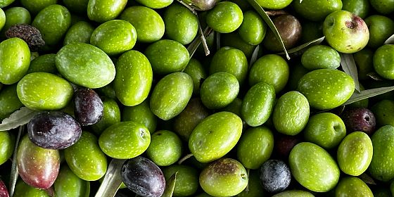Dalla terra alla tavola: la 