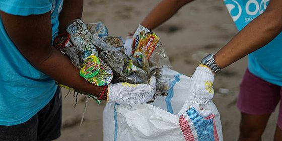 Clean up plastic free