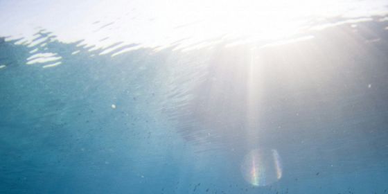 Sotto lo specchio di Taormina: la Posidonia, polmone blu di Isola Bella