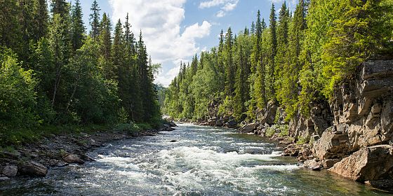 Acque, sedimenti ed ecologia fluviale: una passeggiata scientifica lungo il Piovego