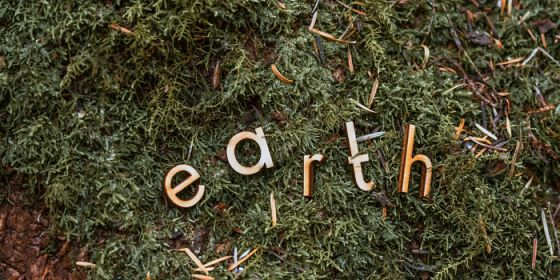 Coltivare il domani. La scuola e la ricerca si incontrano: eco-generazioni per risanare la Terra