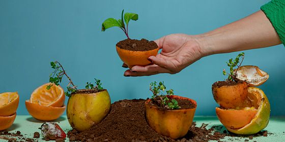 Aura – Azioni di upcycling, rigenerazione e ambiente