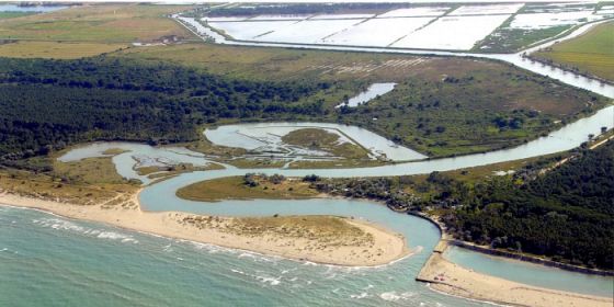 BiodiversyFest 2026. Biodiversità marina: una ricchezza da conoscere e proteggere