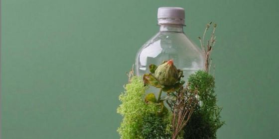 Le scienze della sostenibilità: i valori della transdisciplinarietà in una visione One health
