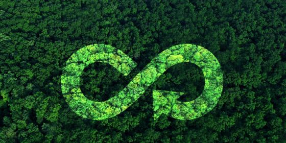 Economia circolare: fiducia e governance nei modelli di collaborazione per la simbiosi industriale