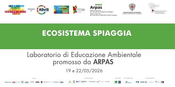 Ecosistema spiaggia