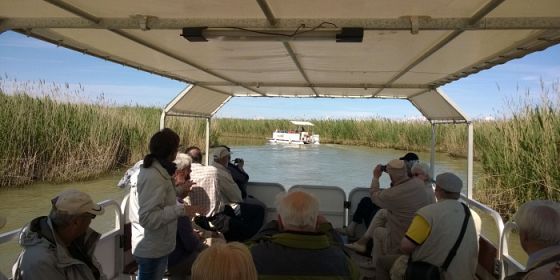 #PoDeltaSWeek2026 - La sostenibilità in cammino: 