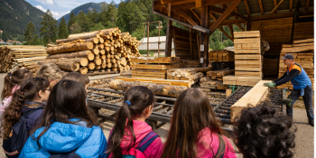 Il gusto della natura: alla scoperta del legno e degli alberi
