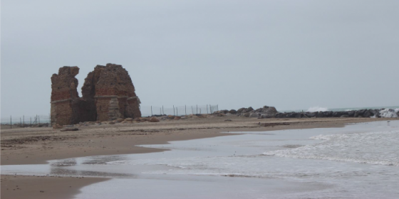 Archeologia e ambiente a Torre Flavia