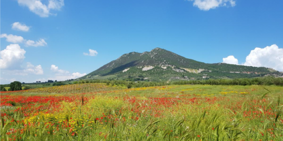 Visite guidate alla Riserva naturale del Monte Soratte