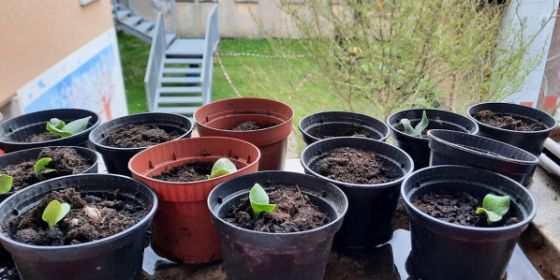 Il gusto della natura: raccontiamo la cura