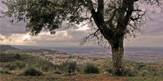 Escursioni a piedi e in mountain bike nella Riserva naturale di Monte Catillo
