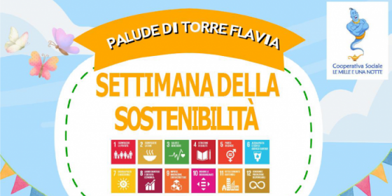 Piccole, grandi idee di sostenibilità