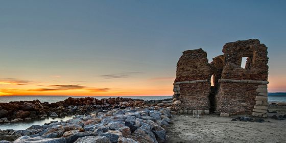 Boschetto degli olmi day: alla scoperta della biodiversità della palude di Torre Flavia