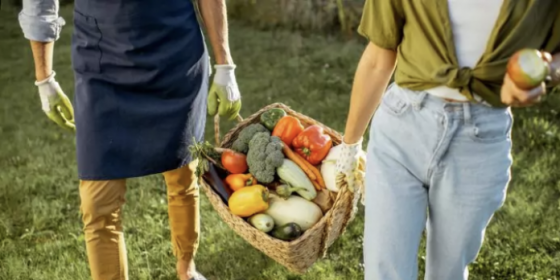 Economia circolare e innovazione sociale