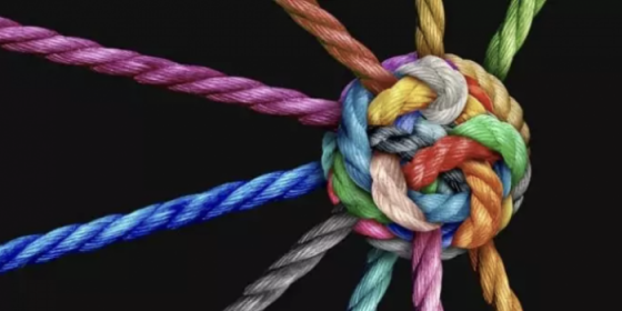 Gestione dell'inclusione sociale