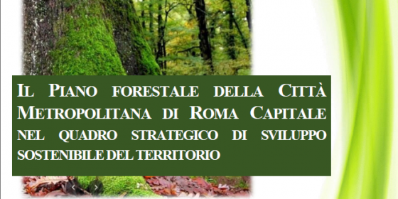 Il Piano forestale della CmRC nel quadro strategico di sviluppo sostenibile del territorio