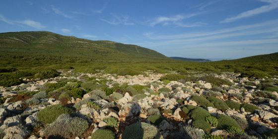 Custodi della biodiversità