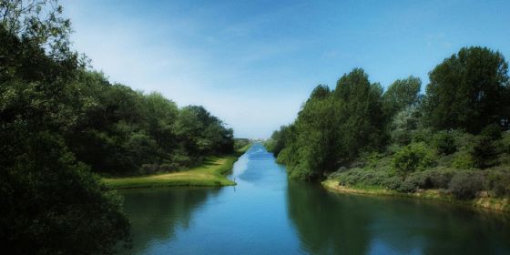 Un dialogo attorno al Po: dal progetto di rinaturazione al futuro piano di ripristino