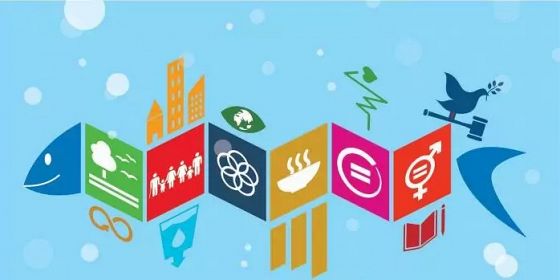 Sostenibilità è partecipazione. Agenda 2030 in azione: strategie, strumenti e territori