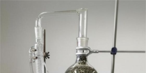 Laboratori interattivi