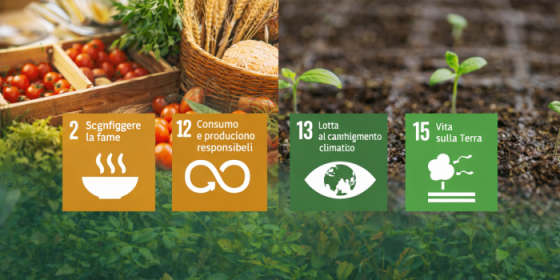 Economia circolare, cibo, alimentazione: responsabilità condivise e prospettive operative