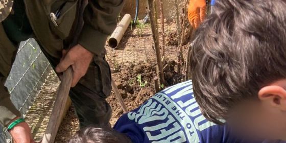 Il gusto della natura: un’oasi per noi e per gli insetti
