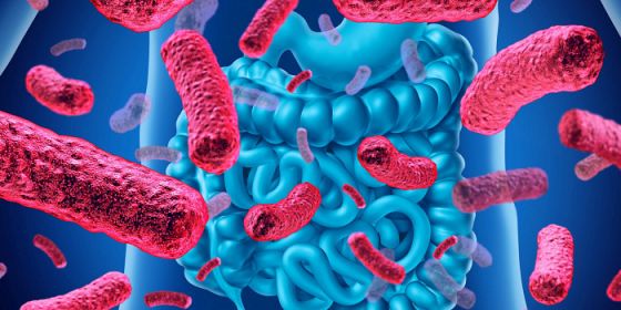 Climate change, epigenetics, microbiome and health