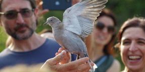 Liberiamo la natura sulle orme di San Francesco