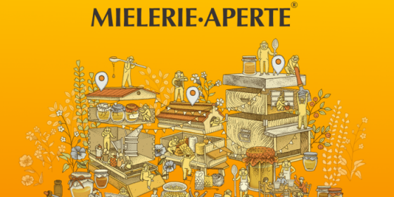 Mielerie aperte: visita alle arnie comunali e degustazione di miele